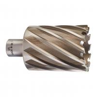 Фреза кольцевая HSS D47х50мм (Weldon)
